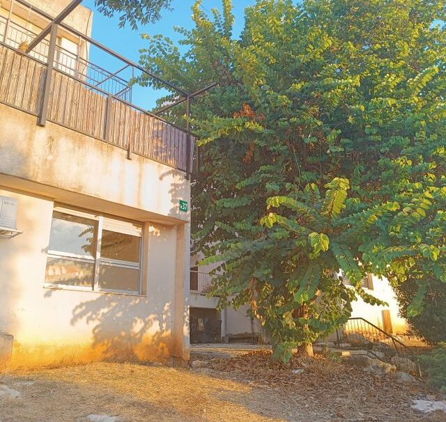 בית ישראל 37, עמנואל
