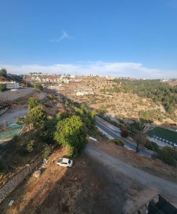 לוחמי הגטאות, צפת