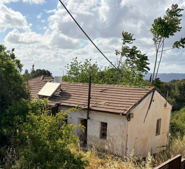 קוממיות, עפולה