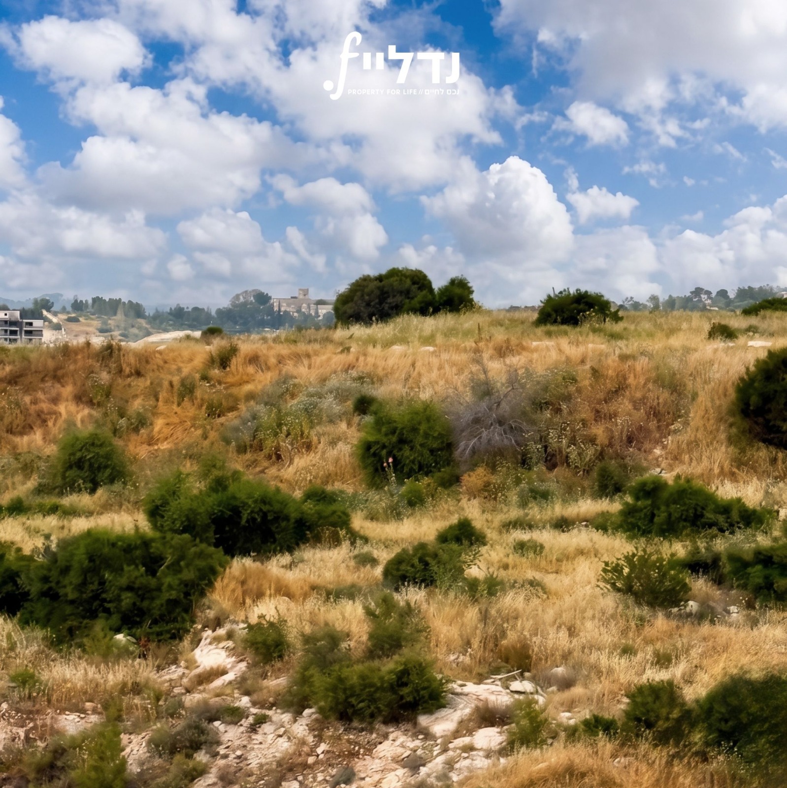 רב אשי 6, בית שמש