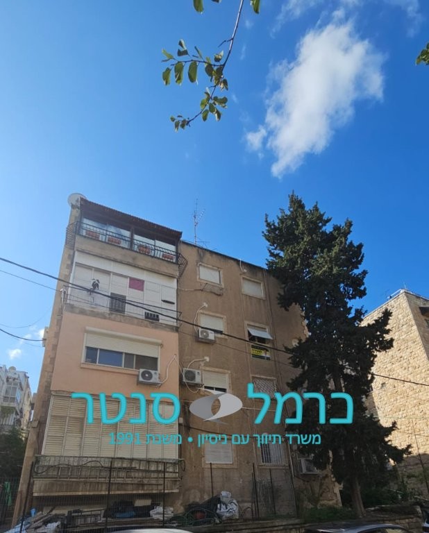 לבונטין, חיפה